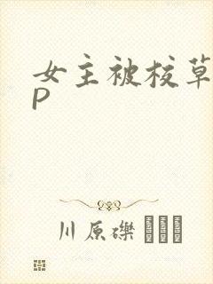 女主被校草们NP封面