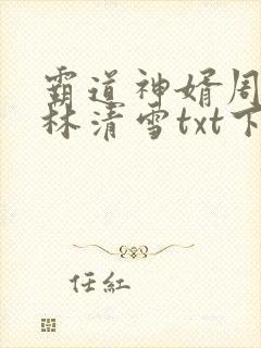 霸道神婿周云,林清雪txt下载