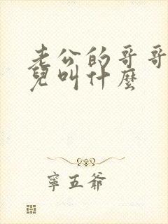 老公的哥哥的女儿叫什么
