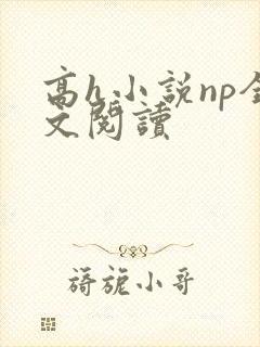 高h小说np全文阅读