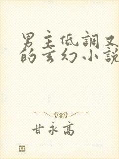 男主低调又谨慎的玄幻小说