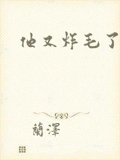 他又炸毛了封面