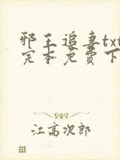 邪王追妻txt完本免费下载