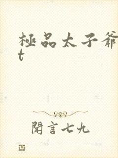 极品太子爷txt