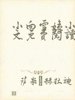 小向雪姨小说全文免费阅读最新章节封面