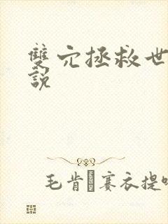 双穴拯救世界小说封面