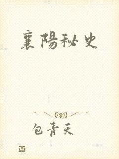 襄阳秘史
