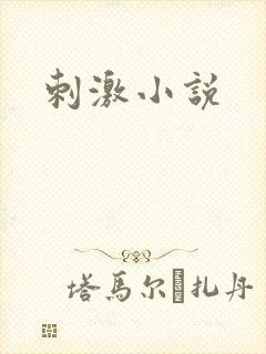 刺激小说