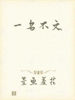 一名不文