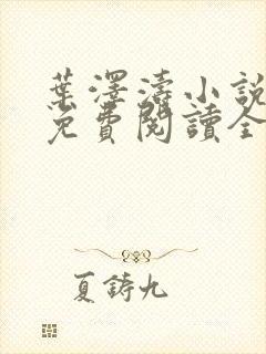 叶泽涛小说全文免费阅读全文封面