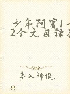 少年阿宾1一72全文目录在线