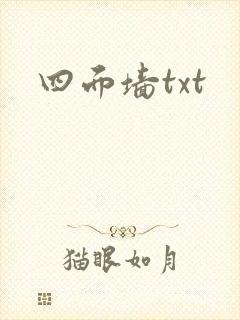 四面墙txt封面