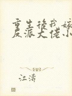 重生后我嫁给了反派大佬小说封面