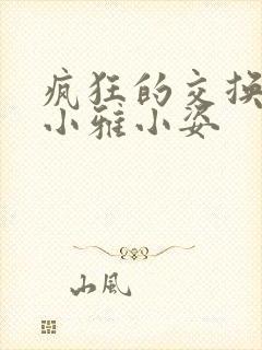 疯狂的交换小静小雅小姿