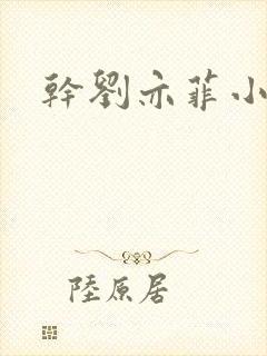 干刘亦菲小说封面