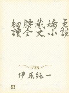 细腰藏娇免费阅读全文小说苏珞浅