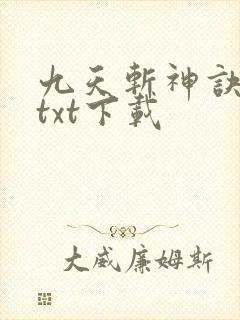 九天斩神诀林辰txt下载封面