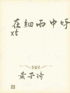 在细雨中呼喊txt