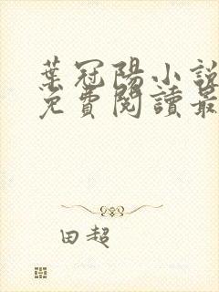 叶冠阳小说全文免费阅读最新章节