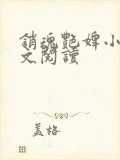 销魂艳婢小说全文阅读