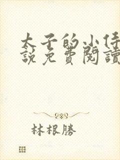 太子的小侍妾小说免费阅读全文