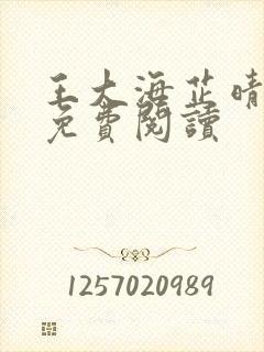王大海芷晴全文免费阅读