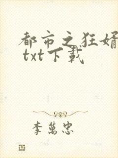 都市之狂婿战神 txt下载