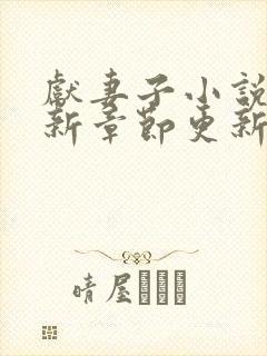 献妻子小说 最新章节更新