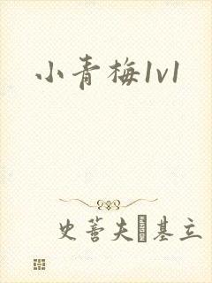 小青梅1v1