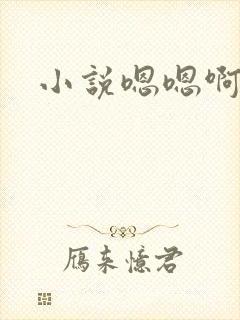 小说嗯嗯啊啊