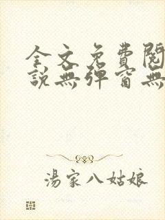 全文免费阅读小说无弹窗无删减封面