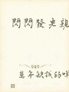 闪闪发光亲情会
