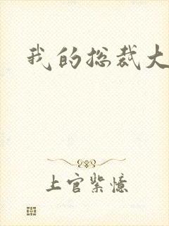 我的总裁大老婆封面