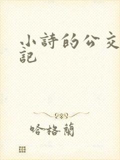 小诗的公交车日记
