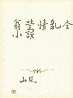 翁莹情乱全部篇小说封面