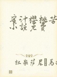 蜜汁樱桃苦咖啡小说免费