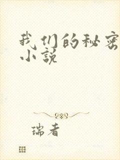 我们的秘密泰剧小说