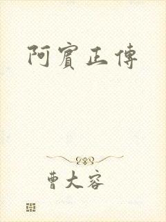 阿宾正传