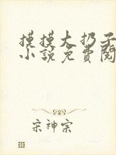 摸摸大扔子原著小说免费阅读
