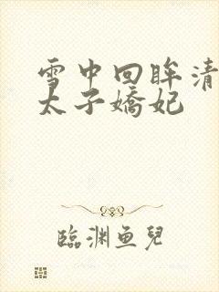 雪中回眸清穿之太子娇妃封面