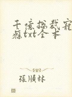 千亿总裁宠妻上瘾txt全本