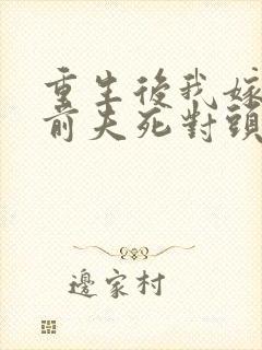 重生后我嫁给了前夫死对头封面