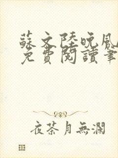 苏文陆晚风小说免费阅读笔趣阁封面