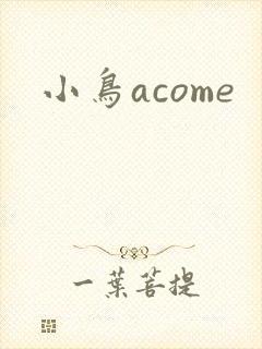 小鸟acome