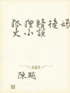 狐狸精后妈太惹火小说