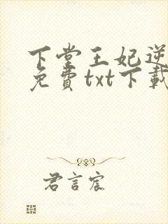 下堂王妃逆袭记免费txt下载