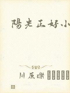 阳光正好小说