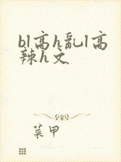bl高h乱l高辣h文封面