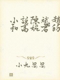 小说陈斌赵心媚和高婉君的小说免费阅读封面