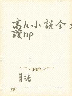 高h小说全文阅读np
